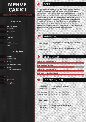 Laboratuvar Teknisyeni Cv Örnekleri cv indir